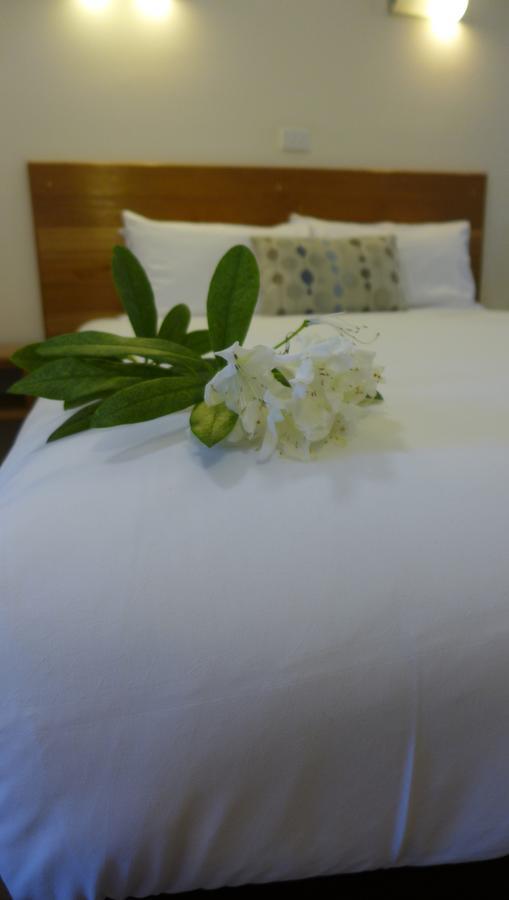 Bright Avenue Motor Inn Dış mekan fotoğraf